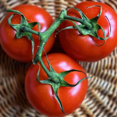Quelles sont les maladies auxquelles les tomates sont exposées ?