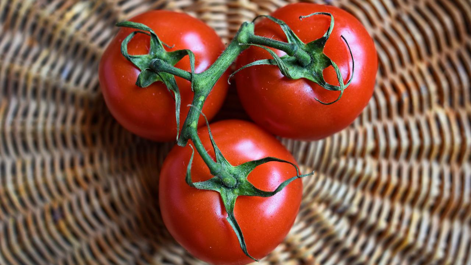 Quelles sont les maladies auxquelles les tomates sont exposées ?
